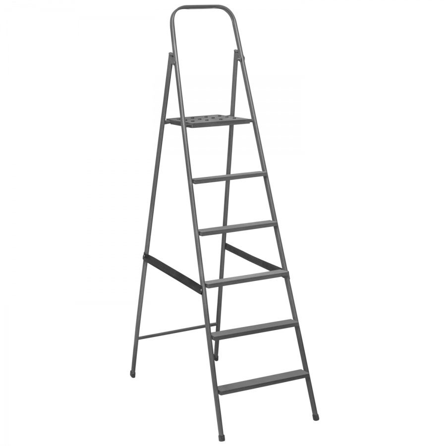 Ladder (6 steps)